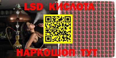 2c-b Гатчина