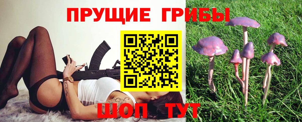 Галлюциногенные грибы мицелий  Галлюциногенные грибы MAGIC MUSHROOMS  Мариинск  купить  сайты  Вход с VPN 